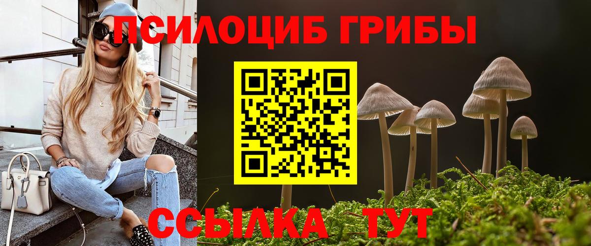 Псилоцибиновые грибы Magic Shrooms  Вход с VPN  Каспийск 